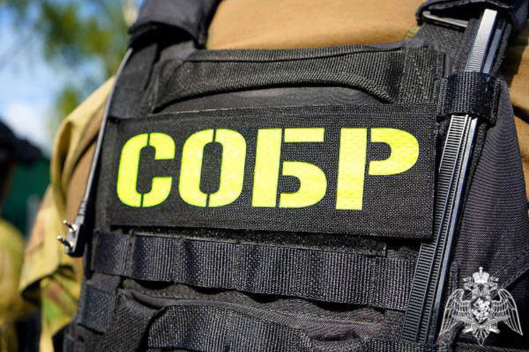В Подмосковье при силовой поддержке спецназа Росгвардии задержаны иностранцы, подозреваемые в серии краж автотранспорта