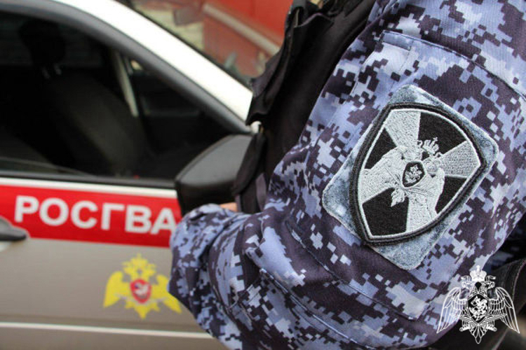 В Подмосковье росгвардейцы оказали помощь водителю загоревшегося автомобиля (видео)