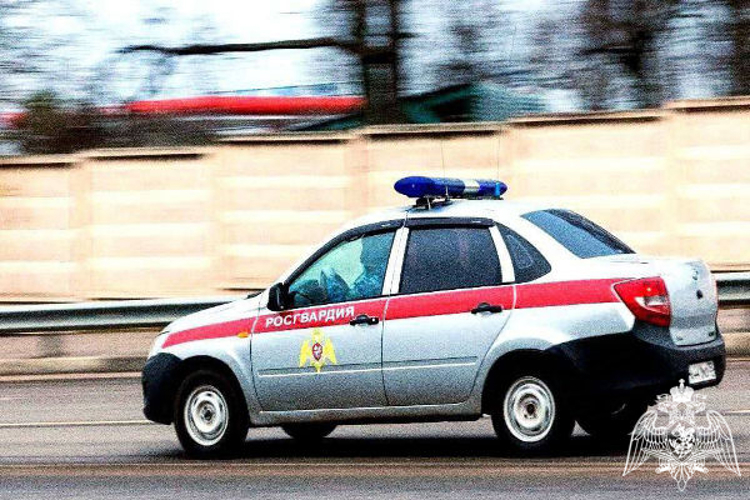 Росгвардейцы задержали подозреваемого в краже 