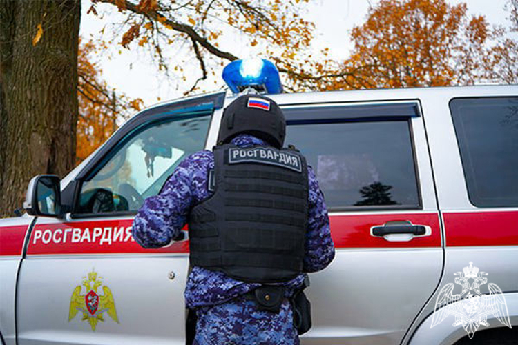 Росгвардейцы задержали рецидивиста, подозреваемого в нанесении ножевого ранения в Подмосковье (видео)