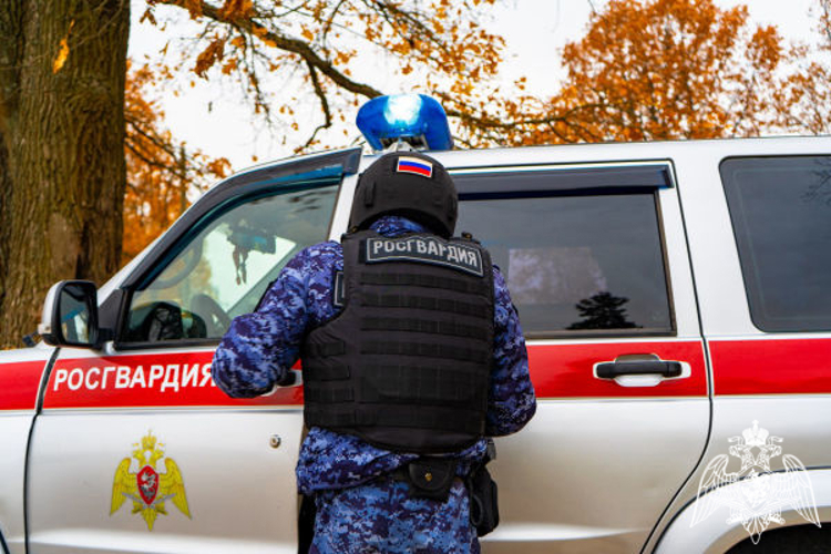 Сотрудники Коломенского отдела вневедомственной охраны Главного управления Росгвардии по Московской области задержали рецидивиста, подозреваемого в хищении товаров из сетевого супермаркета