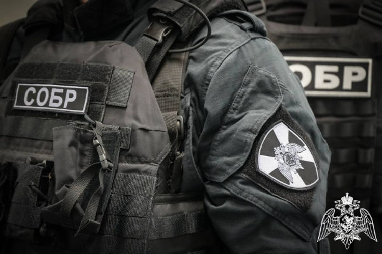 При силовой поддержке спецназа Росгвардии задержан подозреваемый в попытке кражи из частного дома в Подмосковье 