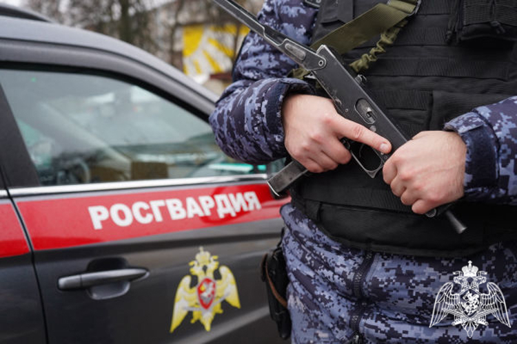 Росгвардейцы задержали мужчину, пытавшегося обновить гардероб за чужой счёт в Подмосковье (видео)