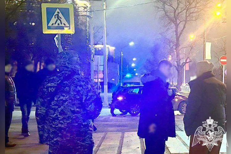 Росгвардейцы задержали нетрезвого виновника ДТП в Подмосковье 