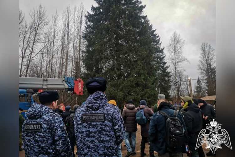 Росгвардейцы обеспечивают сохранность главной новогодней ёлки страны в Подмосковье в период её подготовки к транспортировке (видео)