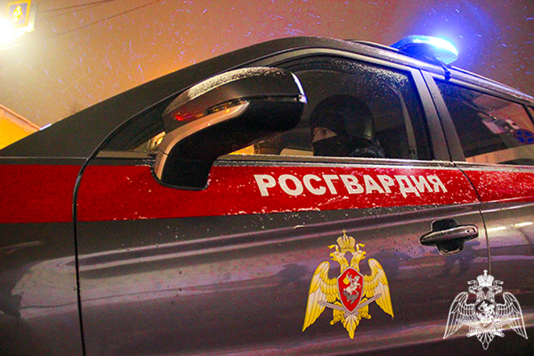 Росгвардейцы задержали подозреваемого в нанесении телесных повреждений в Подмосковье