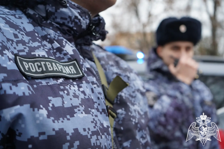 Подмосковные росгвардейцы задержали рецидивиста, подозреваемого в краже дорогостоящего электроинструмента из строительного гипермаркета (видео)
