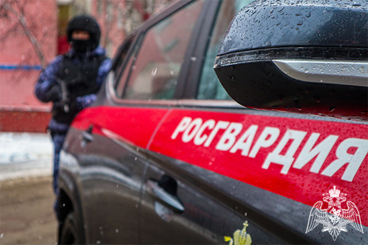Росгвардейцы пресекли кражу бытовой химии в Подмосковье (видео)
