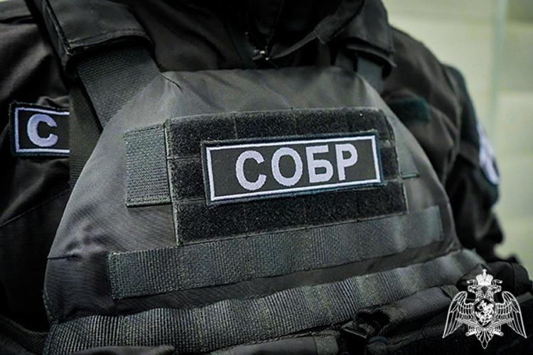 Спецназ Росгвардии оказал силовую поддержку при задержании подозреваемых в краже иномарки стоимостью 3,5 млн рублей в Подмосковье (видео)