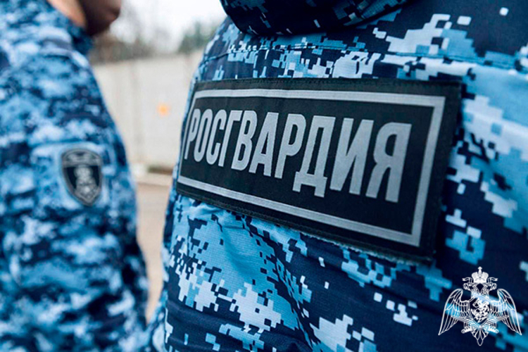 Росгвардейцы пресекли кражу из супермаркета в Подмосковье (ВИДЕО)