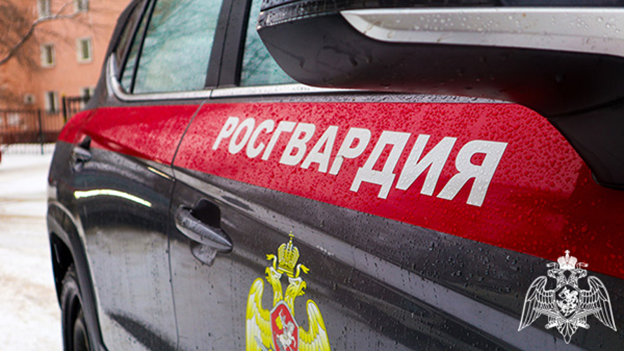 Росгвардейцы оказали содействие медикам в госпитализации буйного гражданина в Подмосковье