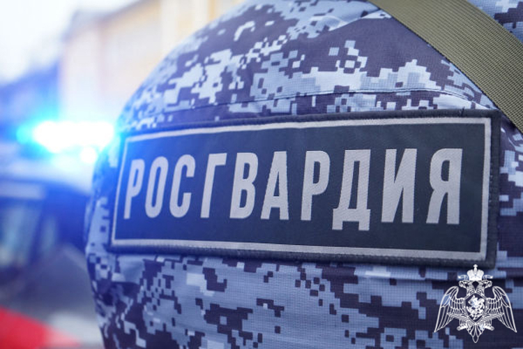 Сотрудник Росгвардии пришёл на помощь водителю загоревшегося грузового автомобиля в Подмосковье (видео)