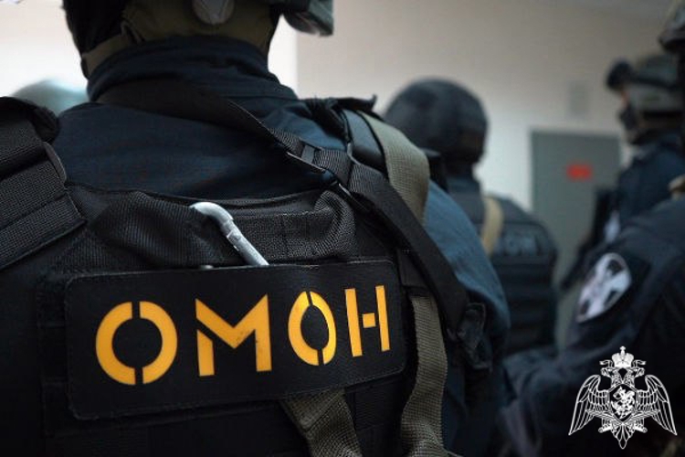 При содействии спецназа Росгвардии задержаны подозреваемые в коррупционных преступлениях и мошенничестве в Подмосковье (видео)