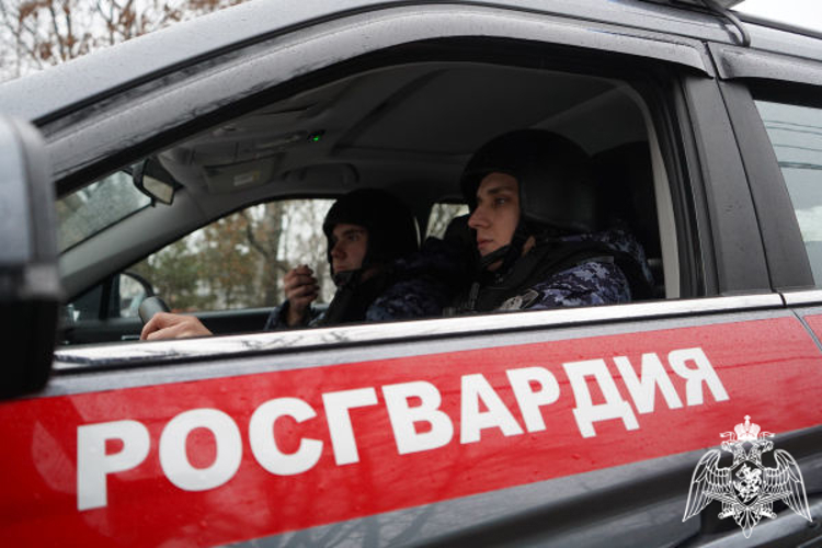 Росгвардейцы задержали подозреваемого в мошенничестве в Подмосковье (видео)