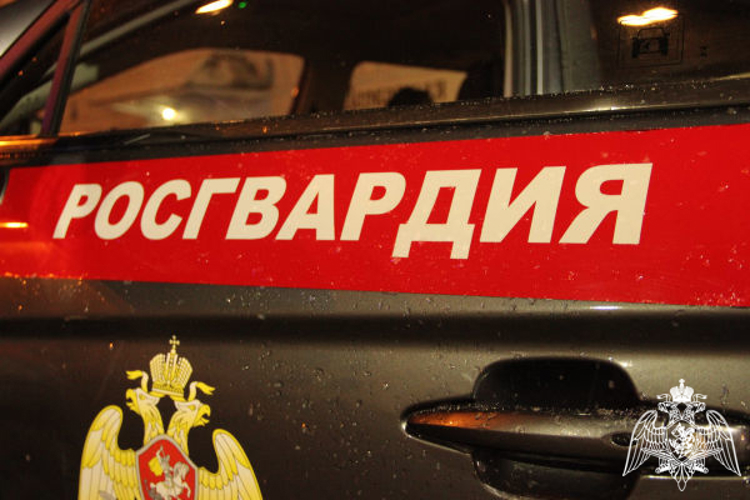 Росгвардейцы в Подмосковье задержали мужчину, находившегося в федеральном розыске