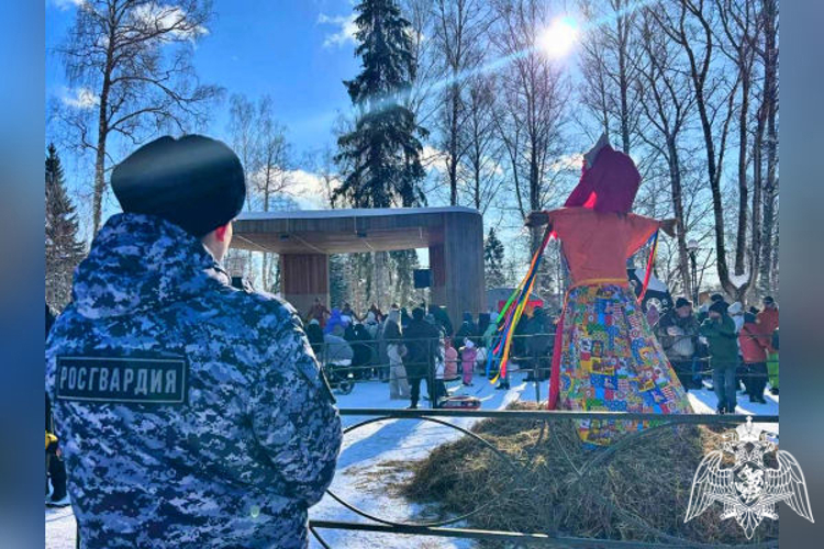 Росгвардейцы обеспечили правопорядок в период празднования Масленицы в Подмосковье