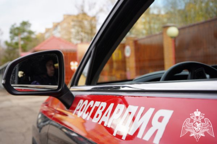 Сотрудники Росгвардии задержали вооруженного дебошира в Подмосковье (видео)