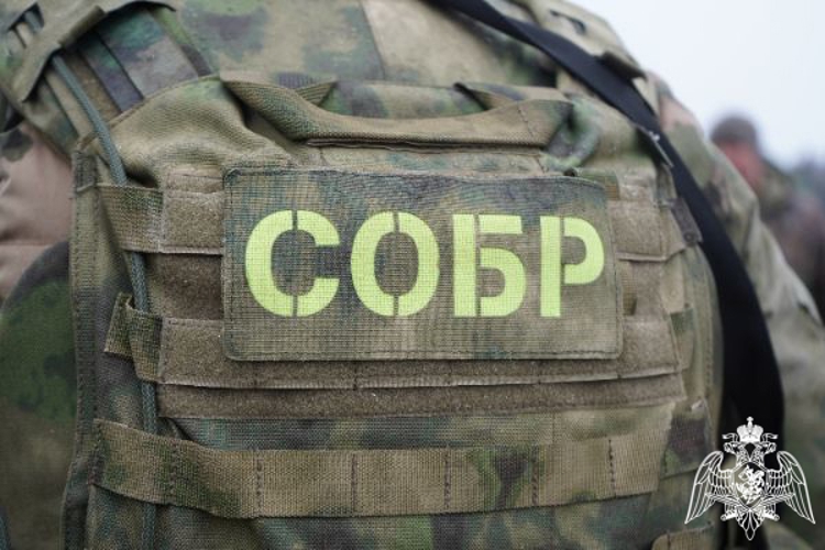 При содействии спецназа Росгвардии задержаны подозреваемые в разбойном нападении и вымогательстве в Подмосковье (видео)