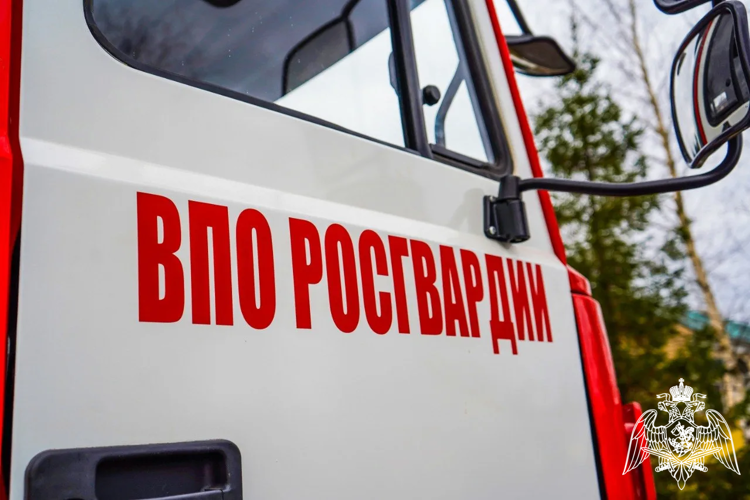 Специалисты инспекции пожарной безопасности подмосковного главка Росгвардии отмечают День образования подразделения