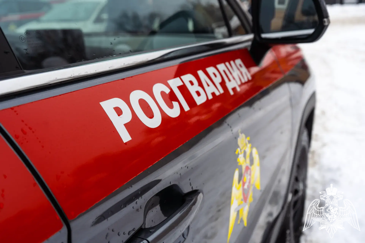Росгвардейцы провели тактико-специальные учения на частном домовладении в Подмосковье (видео)