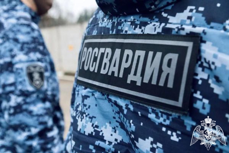 Росгвардейцы задержали рецидивистку, подозреваемую в нанесении ранений ножницами в Подмосковье (видео)
