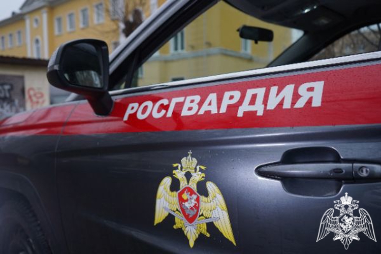 Росгвардейцы пресекли незаконный оборот наркотиков в крупном размере в Подмосковье (видео)