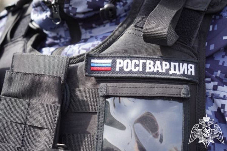 Росгвардейцы пресекли серию краж из сетевых гипермаркетов в Подмосковье (видео)