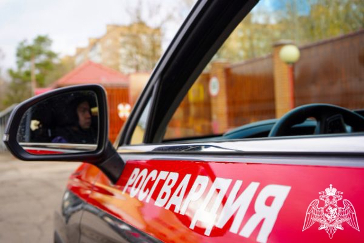 Росгвардейцы по горячим следам задержали рецидивиста, похитившего мобильный телефон в Подмосковье