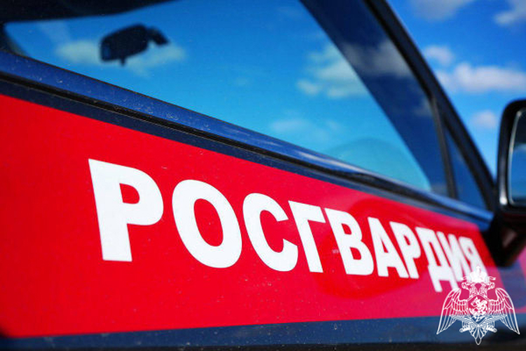 За прошедшую неделю росгвардейцы 1583 раза выезжали по сигналам «Тревога» с охраняемых объектов в Подмосковье