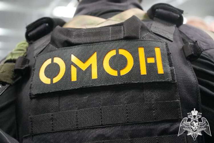 В Подмосковье при содействии спецназа Росгвардии задержаны подозреваемые в мошенничестве в отношении семьи участника СВО (видео)