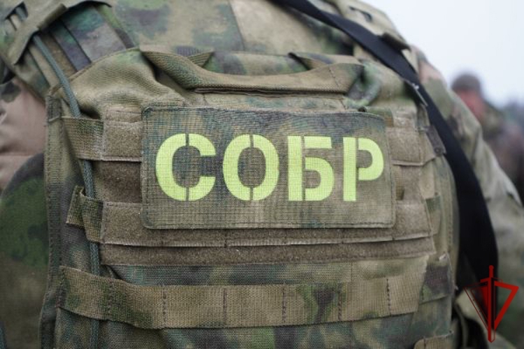 При содействии спецназа Росгвардии задержаны подозреваемые в отравлении молодых людей с летальным исходом в Солнечногорске (видео)
