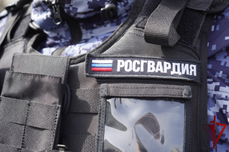 Росгвардейцы задержали вооруженного холодным оружием дебошира в Подмосковье (видео)