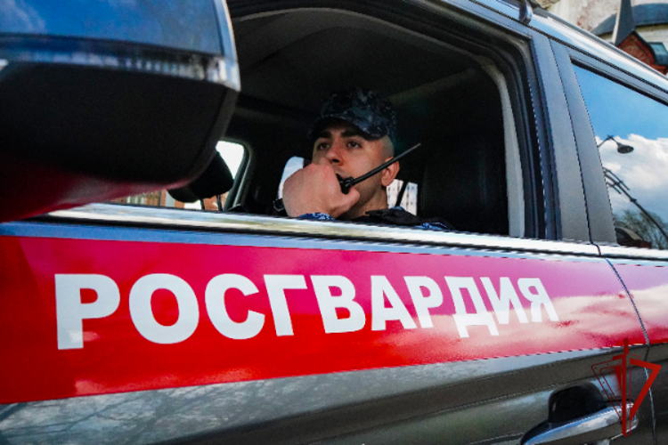 Росгвардейцы задержали подозреваемых в мошеннических действиях в Подмосковье (видео)