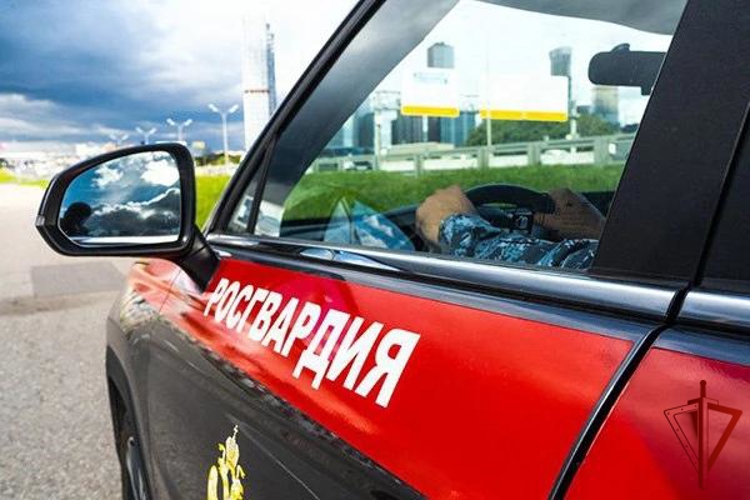 Росгвардейцы задержали нетрезвую автоледи в Подмосковье