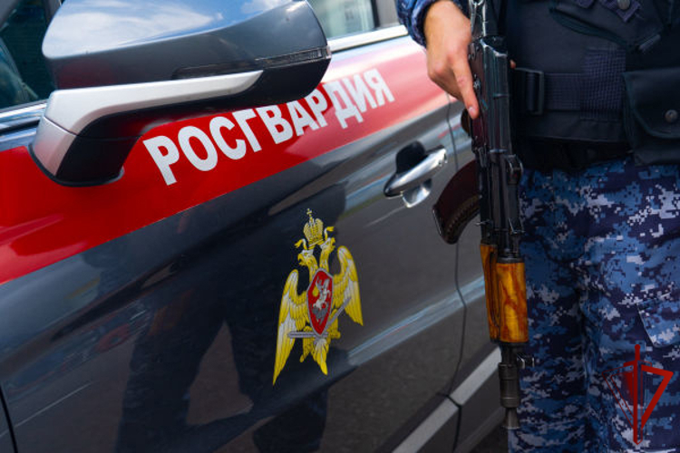 Росгвардейцы задержали подозреваемого в нанесении ножевых ранений в Подмосковье (видео)