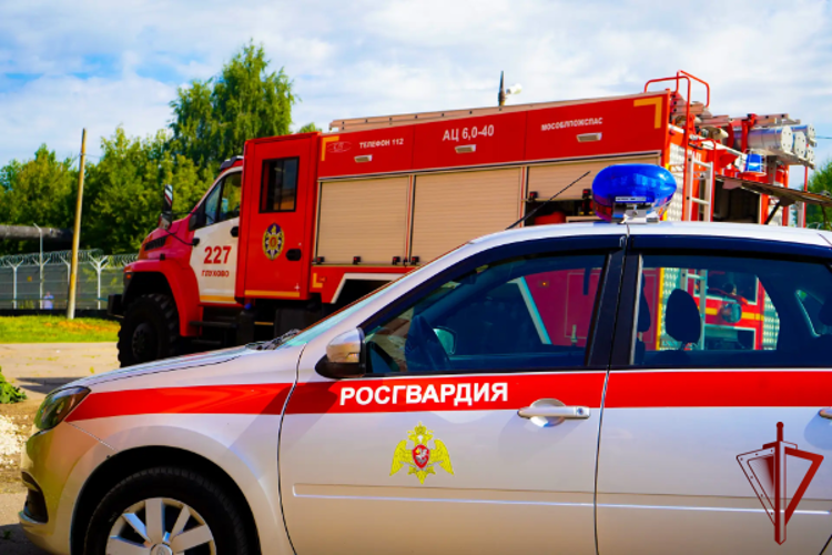 Сотрудники Росгвардии приняли участие в межведомственных учениях по нейтрализации угроз на объекте энергетики в Подмосковье
