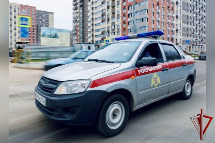 Росгвардейцы задержали подозреваемого в незаконном проникновении в частный дом в Подмосковье (видео)
