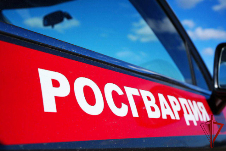 За прошедший месяц росгвардейцы 2024 раз выезжали по сигналам «Тревога» с охраняемых объектов в Подмосковье