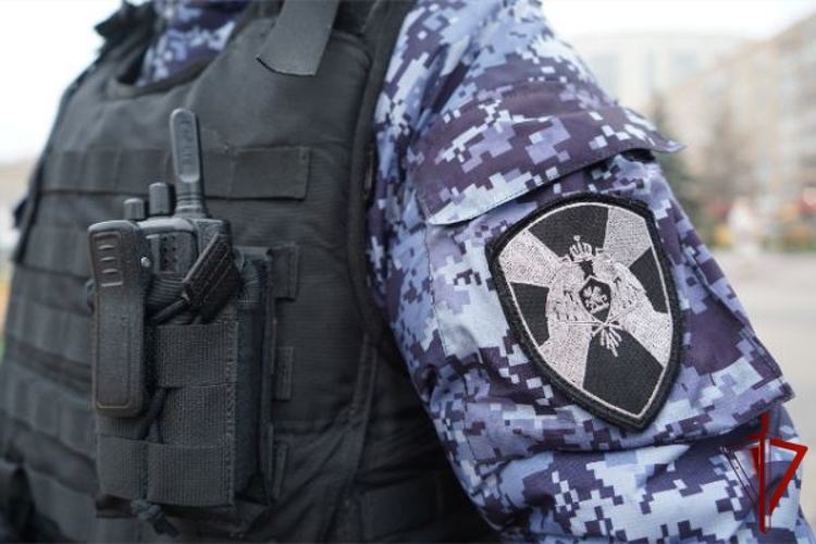 Росгвардейцы пресекли кражу сейфа из частного домовладения в Подмосковье (видео)
