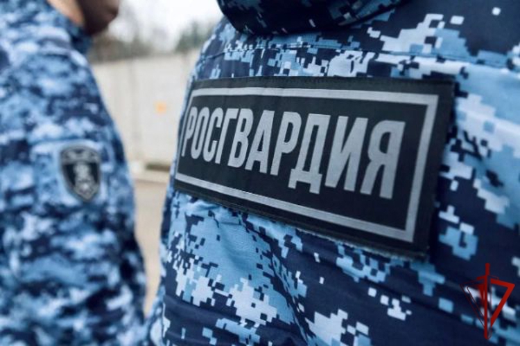 Росгвардейцы задержали подозреваемого в совершении преступления против половой неприкосновенности в Подмосковье (видео)